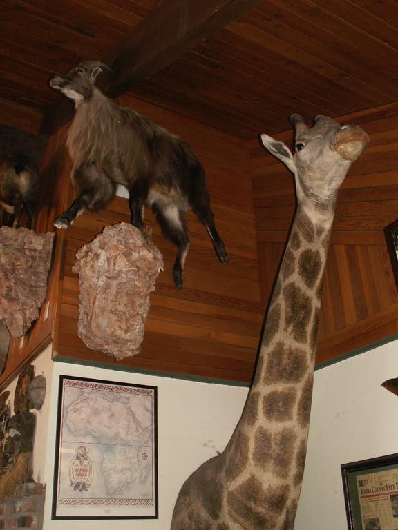 Whitebird Summit Lodge Grangeville Екстериор снимка