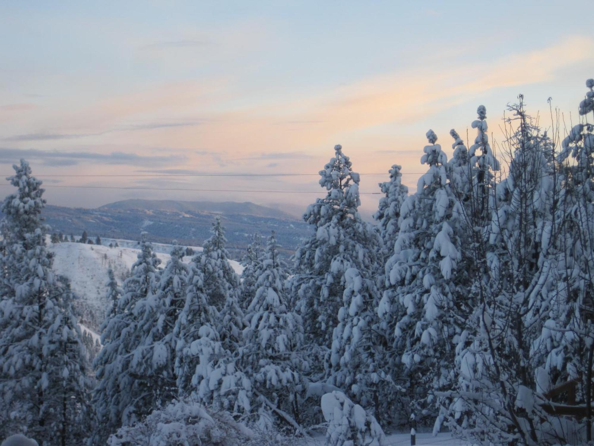 Whitebird Summit Lodge Grangeville Екстериор снимка