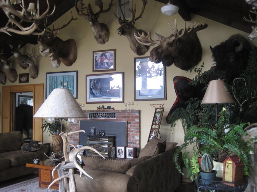Whitebird Summit Lodge Grangeville Екстериор снимка