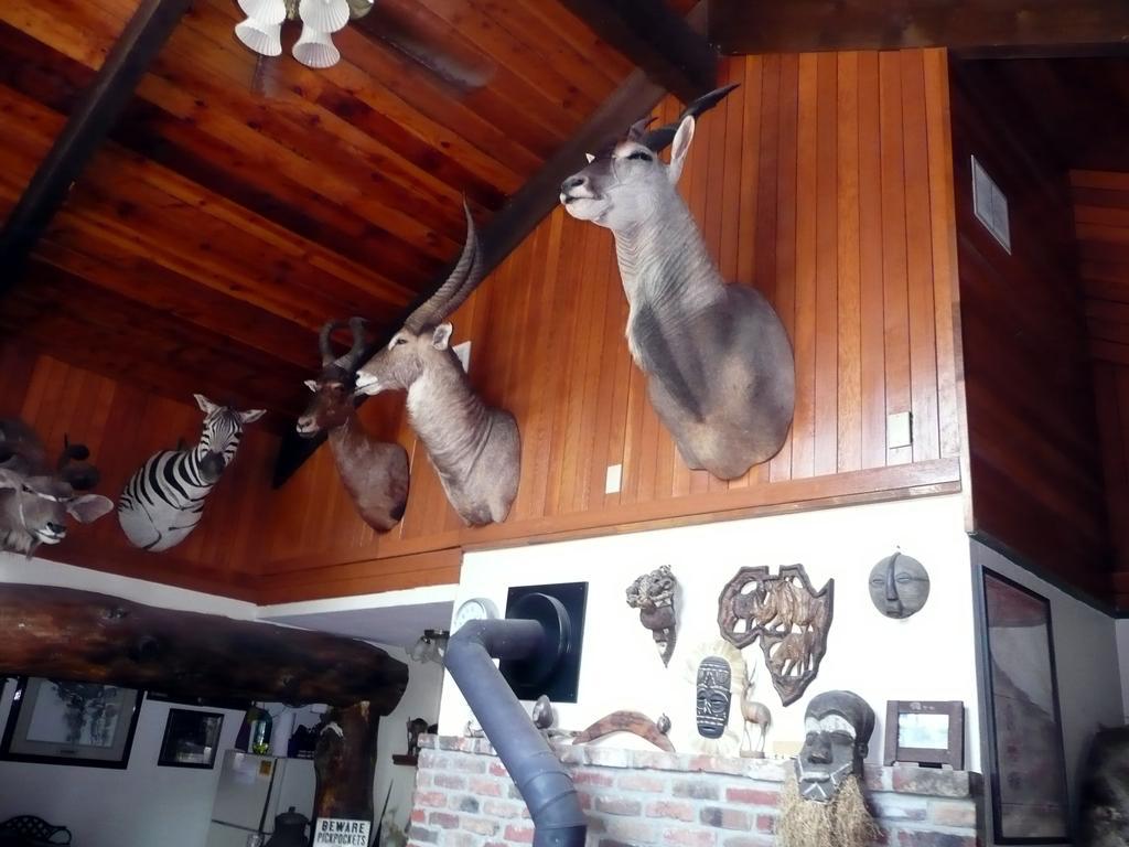 Whitebird Summit Lodge Grangeville Екстериор снимка