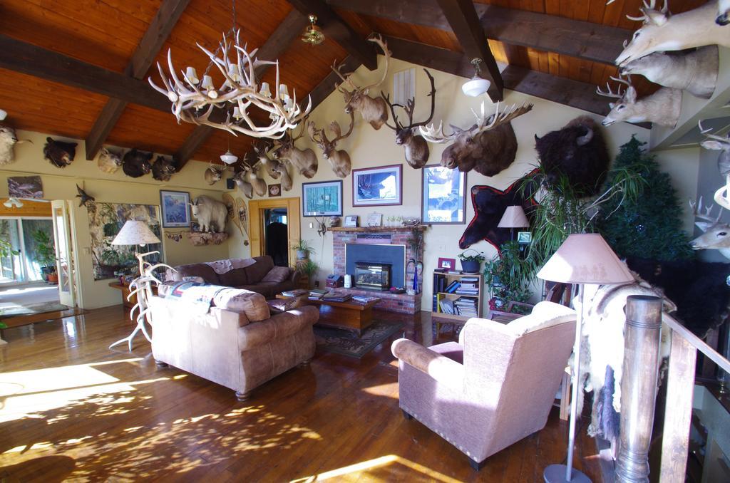 Whitebird Summit Lodge Grangeville Екстериор снимка