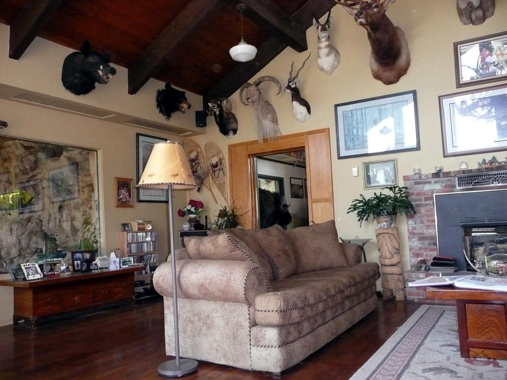 Whitebird Summit Lodge Grangeville Екстериор снимка