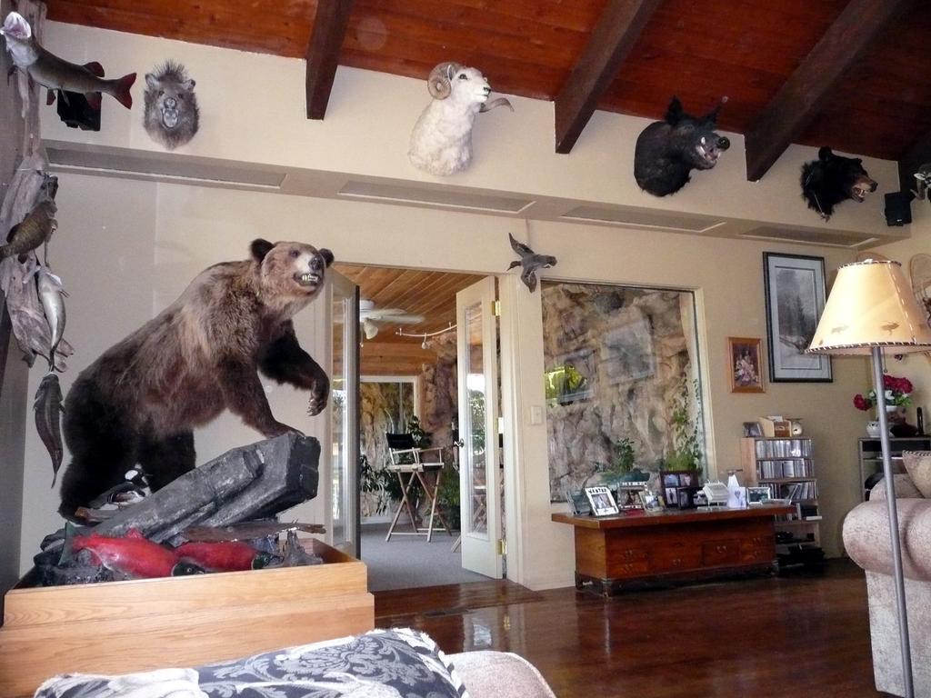 Whitebird Summit Lodge Grangeville Екстериор снимка