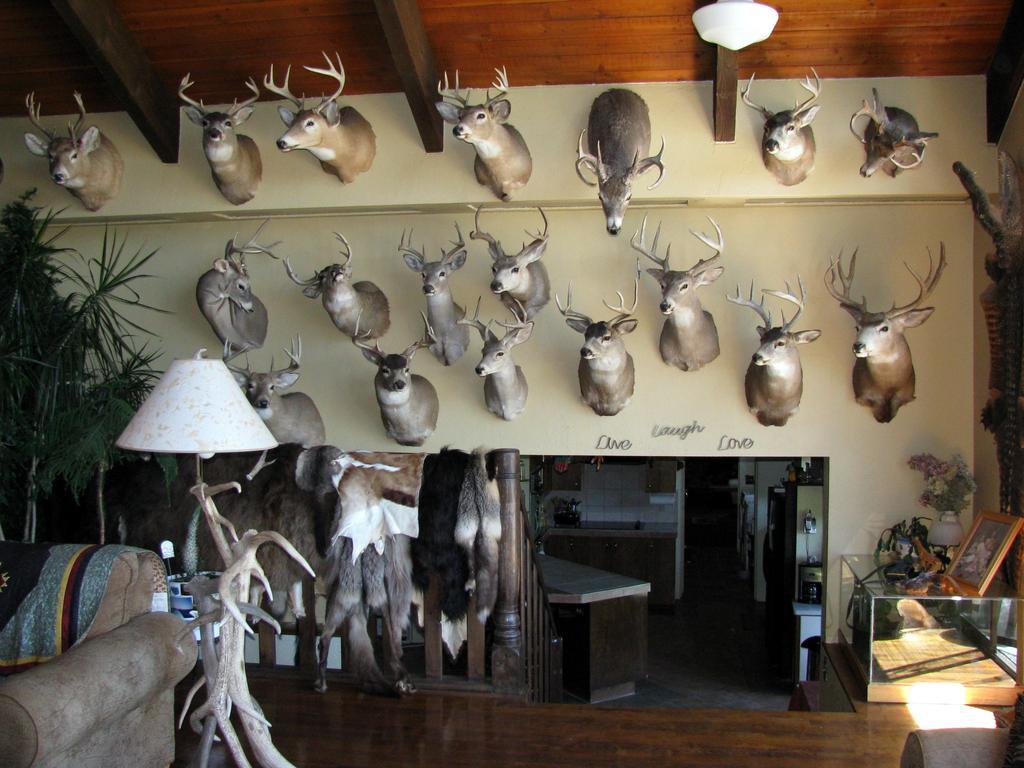 Whitebird Summit Lodge Grangeville Екстериор снимка