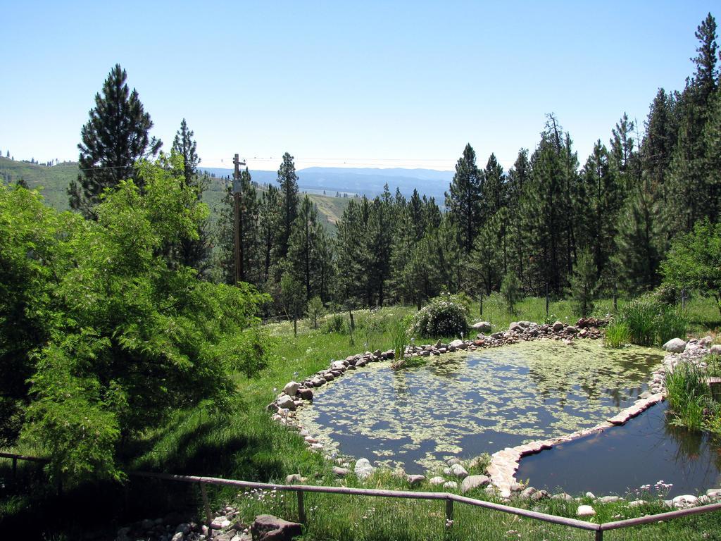 Whitebird Summit Lodge Grangeville Екстериор снимка