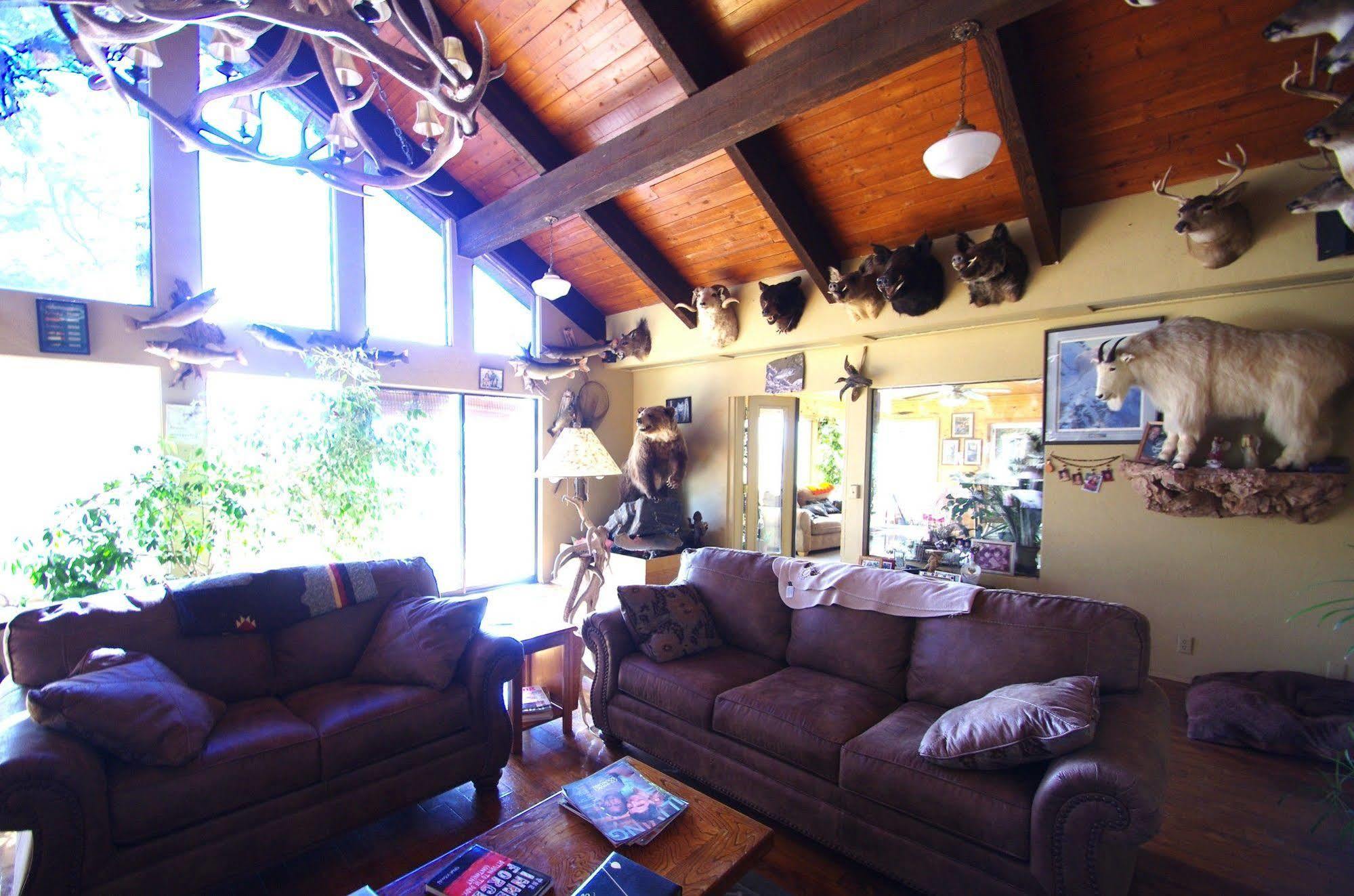 Whitebird Summit Lodge Grangeville Екстериор снимка