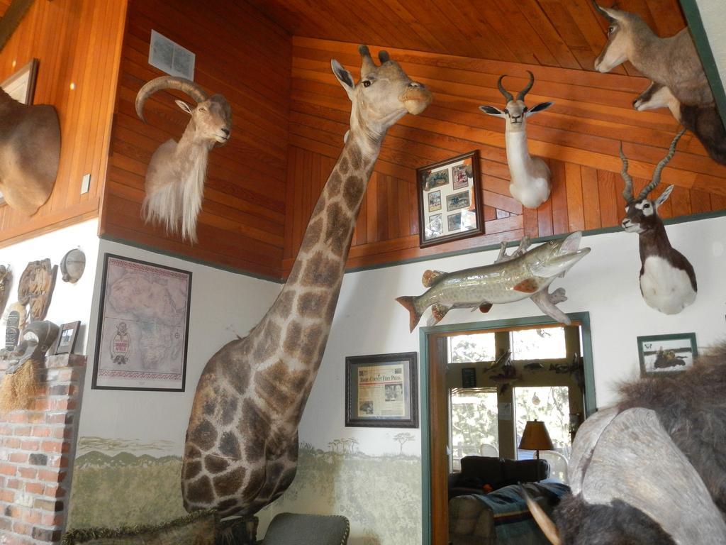 Whitebird Summit Lodge Grangeville Екстериор снимка