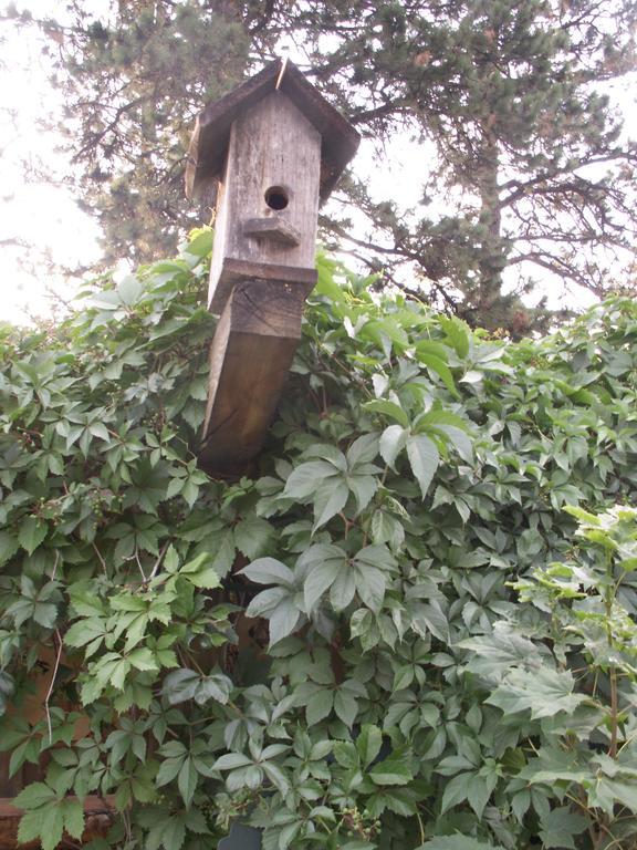 Whitebird Summit Lodge Grangeville Екстериор снимка