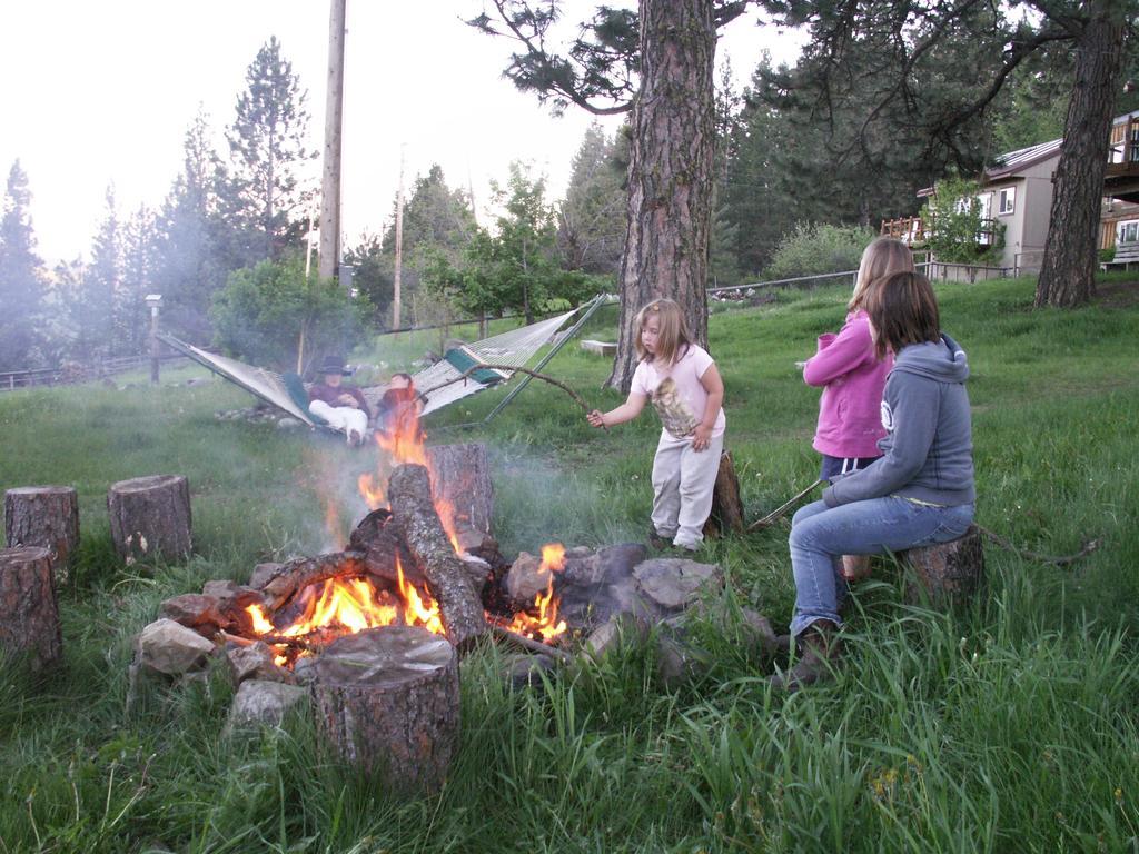 Whitebird Summit Lodge Grangeville Екстериор снимка